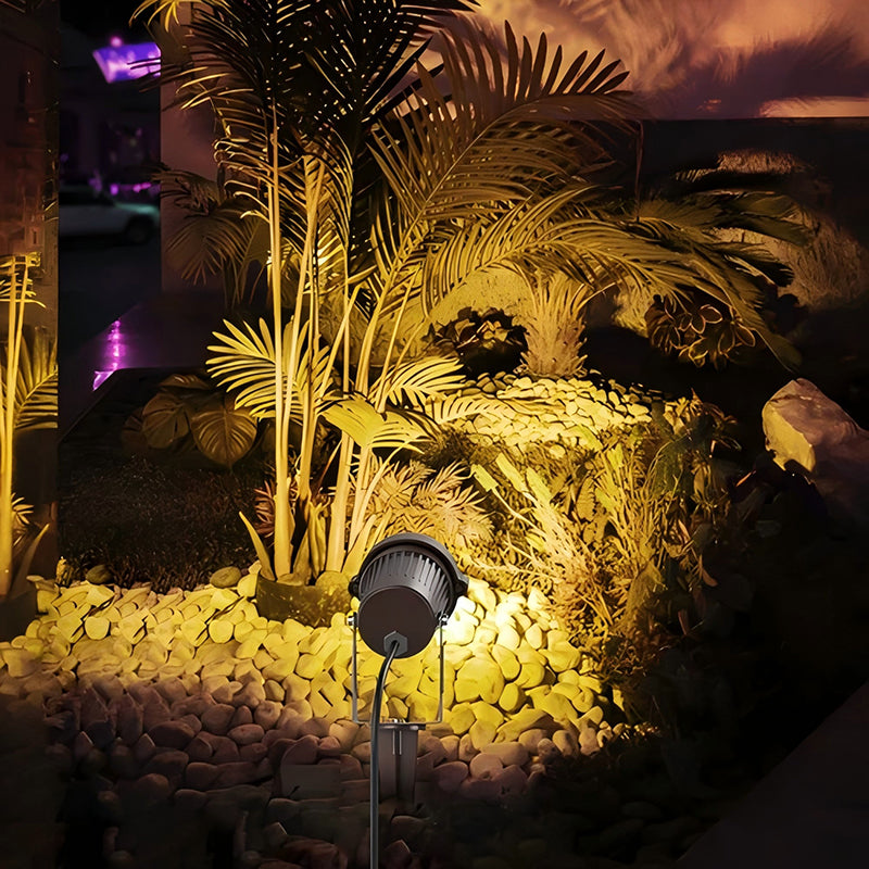 How to Use landscape spotlights to Highlight Trees & Plants