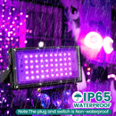 50W Black Light Flood Light, High Power 395nm UV Blacklight, Indoor Outdoor Glow Party Lights, Fluorescent UV Purple Spotlight for Halloween, Stage, Body Paint, and Neon Parties (4 Pack)