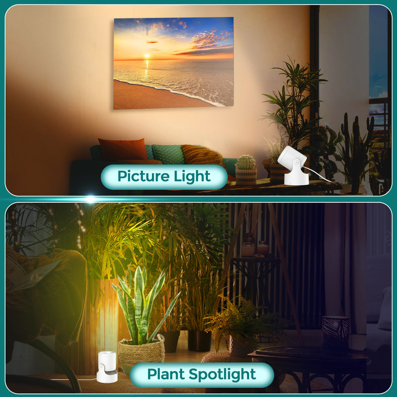iCreating LED Spotlight Indoor - White Uplighting Indoor 2700K-6500K Stepless Adjustable for Plant 12W Small tree Spot Lights Mini Stage Lights Plug in Floor Light Uplights for Christmas (2Pack White)