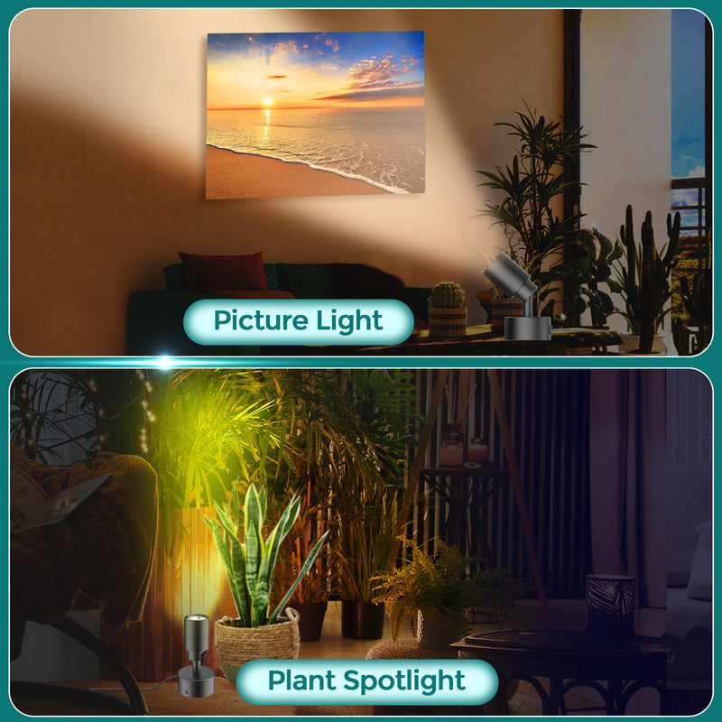 iCreating LED Spotlight Indoor - White Uplighting Indoor 2700K-6500K Stepless Adjustable for Plant 12W Small tree Spot Lights Mini Stage Lights Plug in Floor Light Uplights for Christmas (2Pack Black)