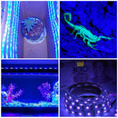 UV LED Strip Lights - 2 Pack Battery Operated LED Black Light Strip Kit with 6.6FT Ultraviolet IP65 Waterproof Super Bright LED Strip Lights, Battery Case by iCreating