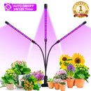 LED Grow Light, 60W Tri Head Timing 60 LED 5 Dimmable Levels Plant Grow Lights for Indoor Plants with Red Blue Spectrum, Adjustable Gooseneck, 3 6 12H Timer, 3 Switch Modes