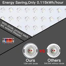 1000W LED Grow Light, Full Spectrum Plant Light with Veg and Bloom Double Switch, Adjustable Rope, Grow Lamp for Indoor Plants Veg and Flower