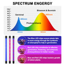 LED Grow Light, 60W Tri Head Timing 60 LED 5 Dimmable Levels Plant Grow Lights for Indoor Plants with Red Blue Spectrum, Adjustable Gooseneck, 3 6 12H Timer, 3 Switch Modes