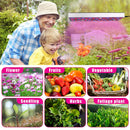 LED Grow Lights, Full Spectrum Panel Grow Lamp with IR & UV LED Plant Lights for Indoor Plants,Micro Greens, Clones, Succulents, Seedlings