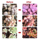 LED Grow Light for Indoor Plants, Full Spectrum Dual Head Desk Clip Plant Light for Seedling Blooming, Adjustable Gooseneck & Timer Setting 3H/9H/12H, 3 Color Modes