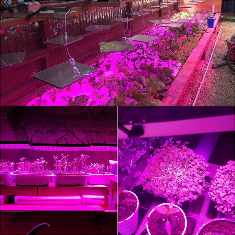 Full Spectrum LED Grow Light 75W, Panel Grow Lamp Plant Lights Red Blue Grow Lights for Indoor Plants, Vegetable, Flower, Hydroponics, Greenhouse, Seedling, Succulents