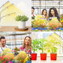 Full Spectrum LED Grow Lights for Indoor Plant, 3 Heads Timing Function Grow Lamp Auto On/Off with 3/6/12H Timer 5 Dimmable Levels 3 Switch Modes Adjustable Gooseneck