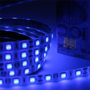 UV LED Strip Lights - 2 Pack Battery Operated LED Black Light Strip Kit with 6.6FT Ultraviolet IP65 Waterproof Super Bright LED Strip Lights, Battery Case by iCreating